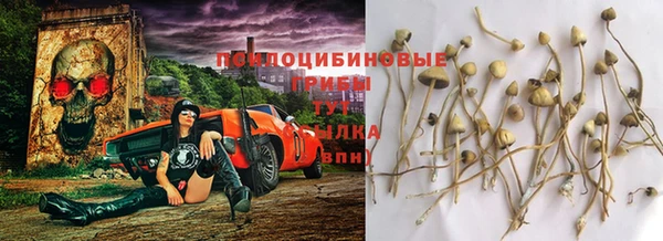 марки lsd Алзамай