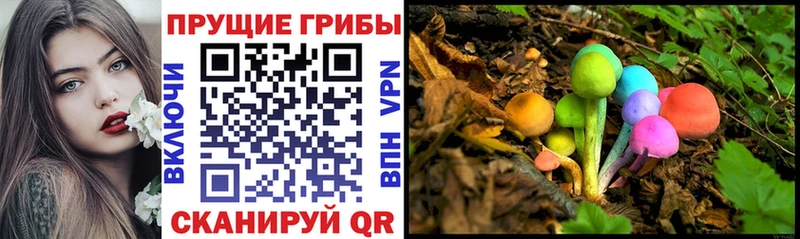 Купить закладки  Вышний Волочёк  Галлюциногенные грибы GOLDEN TEACHER 